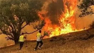 احمِ نفسك ومحيطك من حرائق الصيف: لا تدع الأمر للصدفة