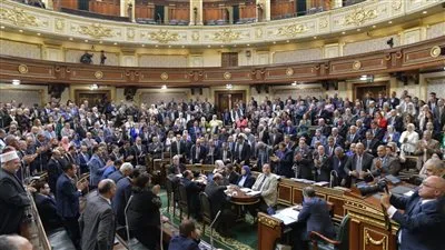 مصر تخوض صراعاً حقيقياً من أجل فلسطين رغم محاولات التشويه.