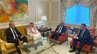 «اجتماع رباعي».. وزير الخارجية يلتقي بنظرائه من قطر والسعودية والأردن لبحث تطورات الأوضاع في الشرق الأوسط