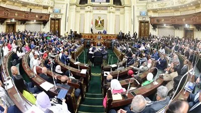 توجيهات الرئيس حول النقاط والمحطات والسكك الحديدية تعزز موقع مصر كمركز إقليمي للتجارة