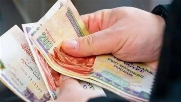 منحة العمالة متاحة.. استعلم عن تفاصيل غير المنتظمة 2025