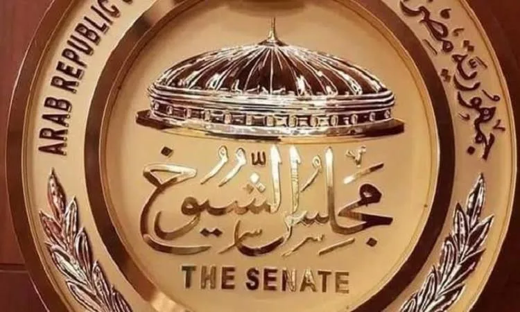 المرأة المصرية تلعب دوراً نشطاً في تعزيز الوعي الوطني