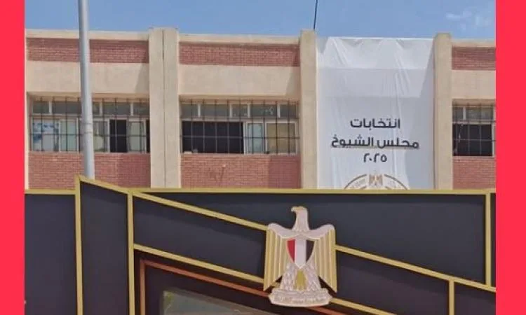 زيادة الإقبال على التصويت في لجان القاهرة الجديدة في اليوم الثاني لانتخابات مجلس الشيوخ