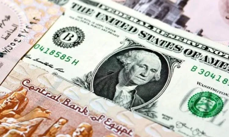 البنك المركزي يحدد سعر الدولار عند 48.48 جنيه: تحليل وآثار القرار