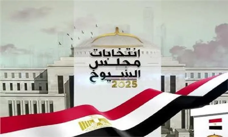 مجلس الشيوخ يلعب دوراً مهماً في السياسة المصرية