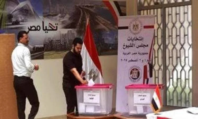 اليوم.. انتهاء تصويت المصريين في الخارج لانتخابات مجلس الشيوخ