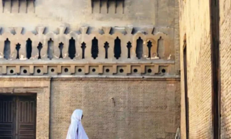 استكشف رحلة مثيرة عبر السلالم: قصة مصورة تأخذك في مغامرة فريدة