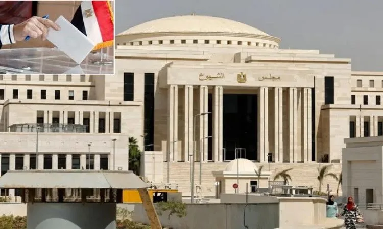 قيادات الجبهة الوطنية تراقب التحضيرات التنظيمية لانتخابات أعضاء مجلس الشيوخ