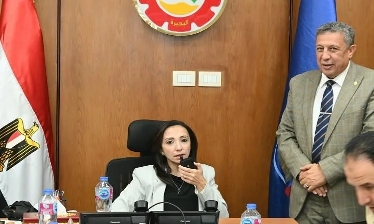 انتخابات “الشيوخ” تُجرى في أجواء من التنظيم والسكينة