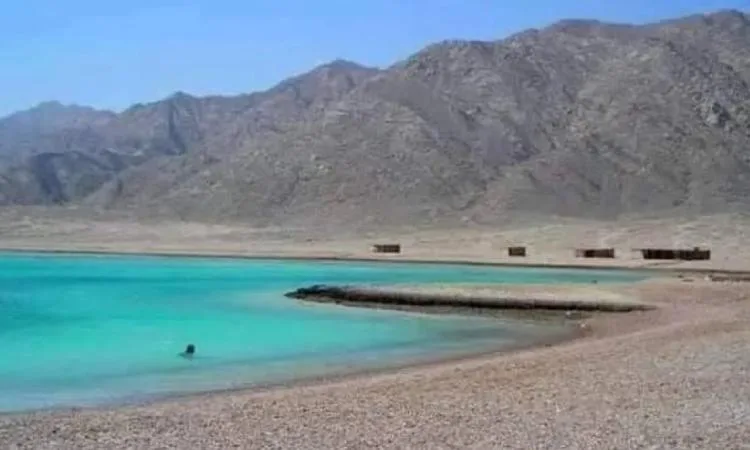 وزارة البيئة تنظم حملة للتثقيف وإزالة النفايات في محمية نبق بجنوب سيناء
