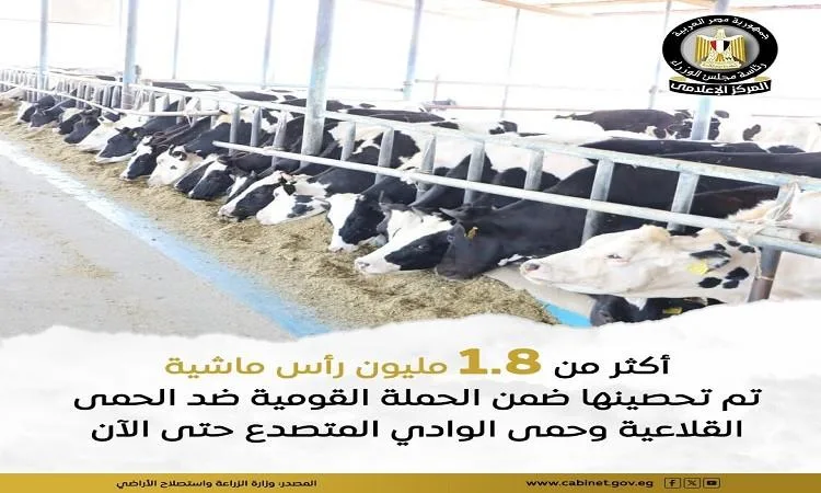 وزارة الزراعة تواصل الحملة الوطنية للتطعيم ضد الحمى القلاعية والوادي المتصدع