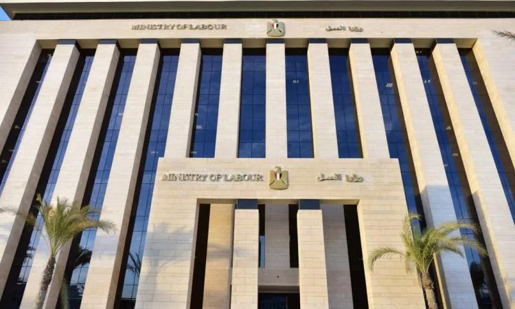 توفر 3633 وظيفة جديدة في 34 شركة خاصة للشباب في 10 محافظات